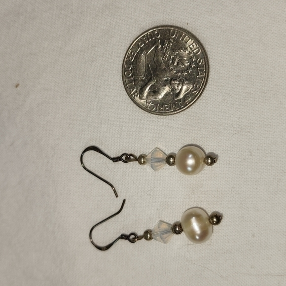 Vintage Beaded Earrings Fish Hook